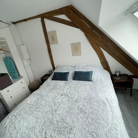 Le Bel Vue Apartment Sens Exterior photo